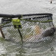 Kosz Do Podbieraka Matrix Carp Scoop L Net - 55 x 45cm