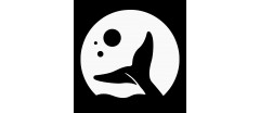 Moonfin